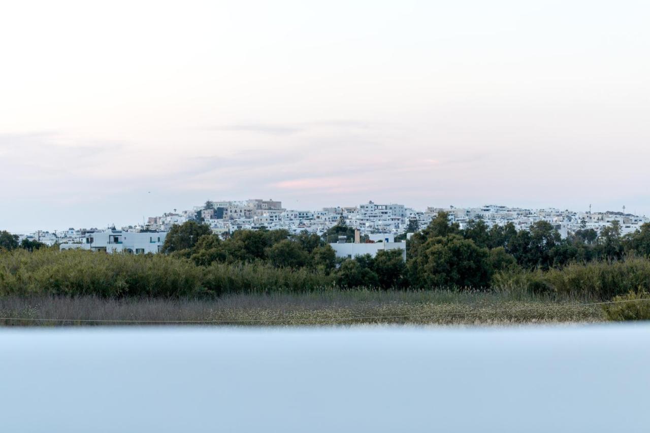 Isalos Villas Naxos Naxos City Exterior foto